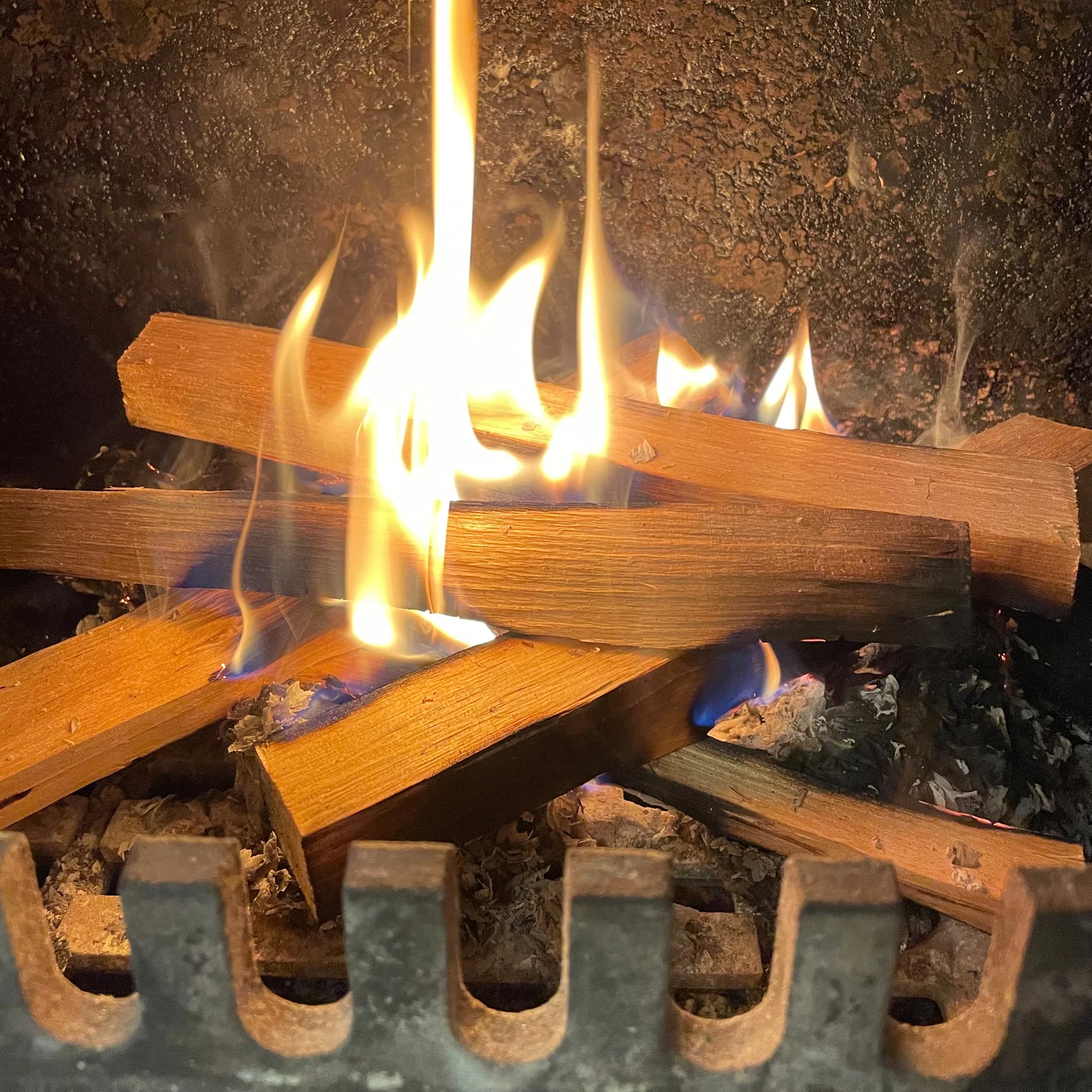 Bag of Biohot kiln dried kindling
